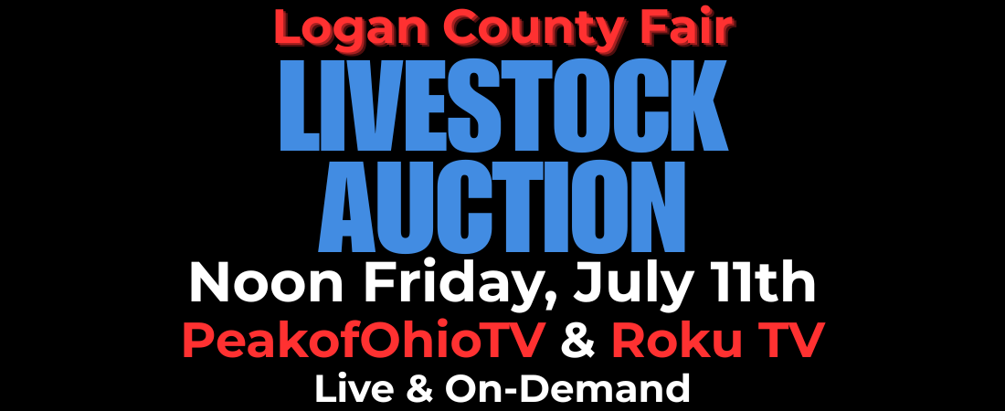 Logan Co. Fair Livestock Auction - July 11, 2025